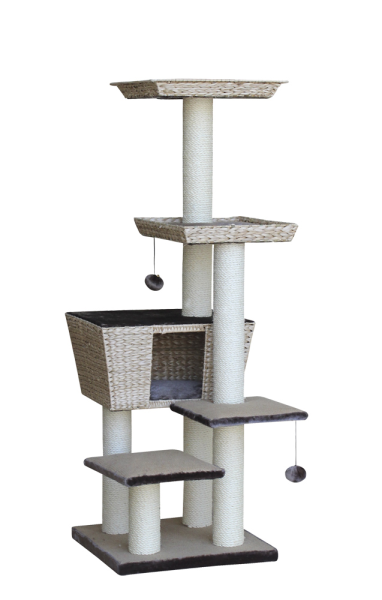 Nobby Kratzbaum Motega